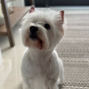 Meet your Posher, Sandra